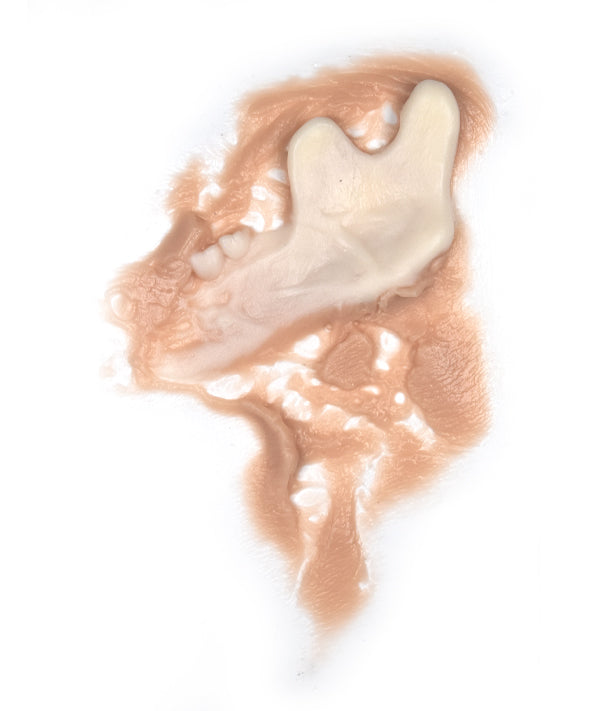 Zombie Jaw Bone Left