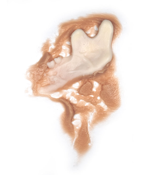 Zombie Jaw Bone Left