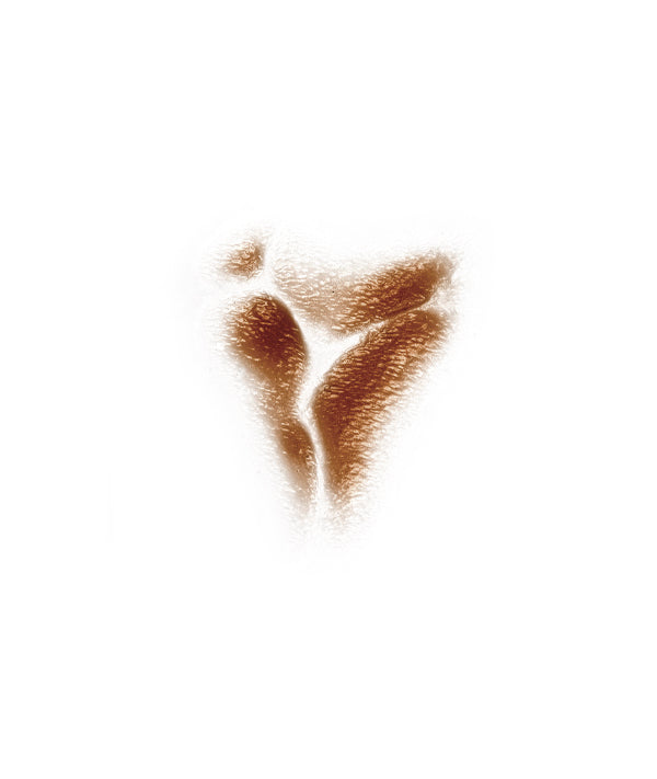 Character Scar 2