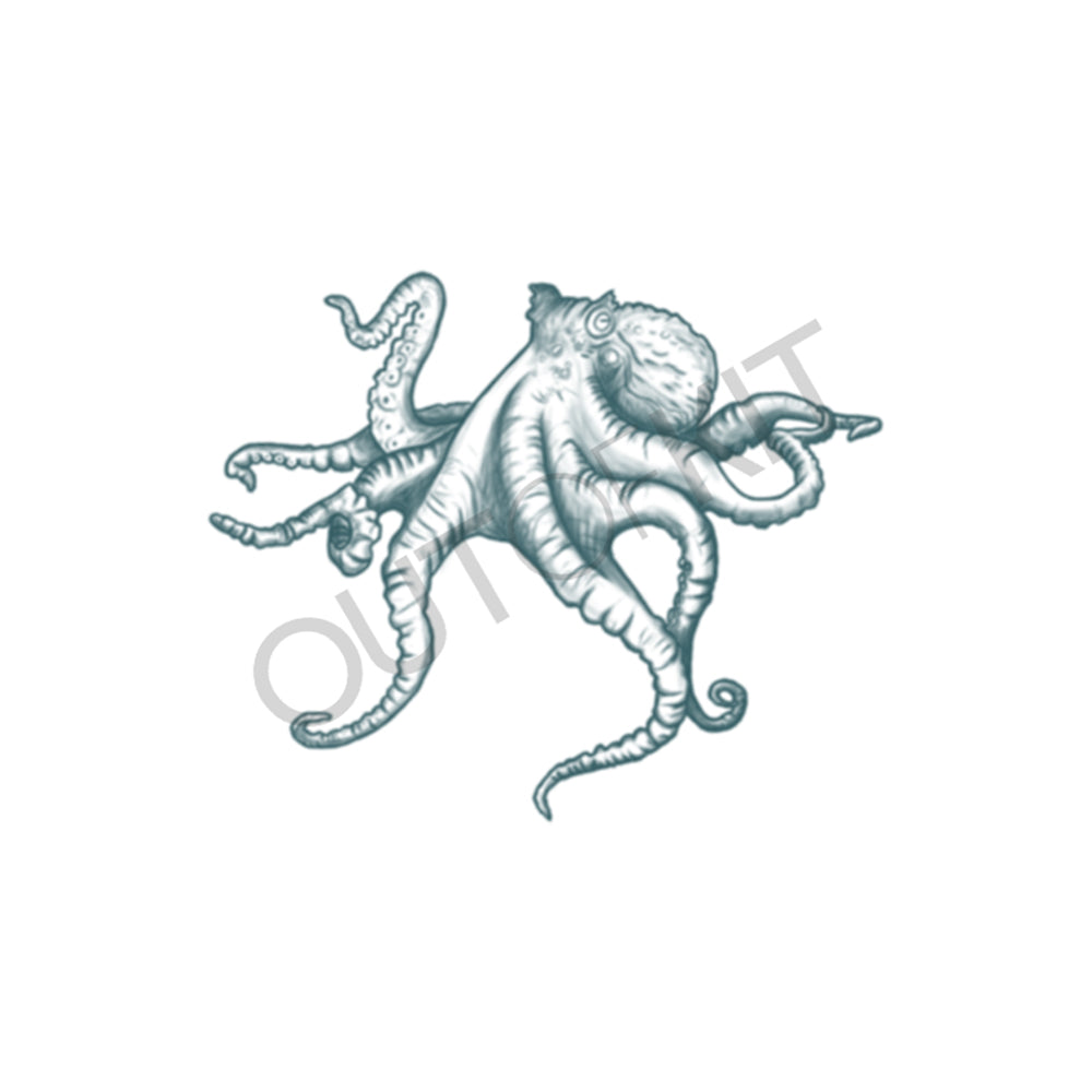 Detailed Realism: White Octopus Drawing with Long Tentacles Stock  Illustration - Illustration of academia, whirly: 295333143