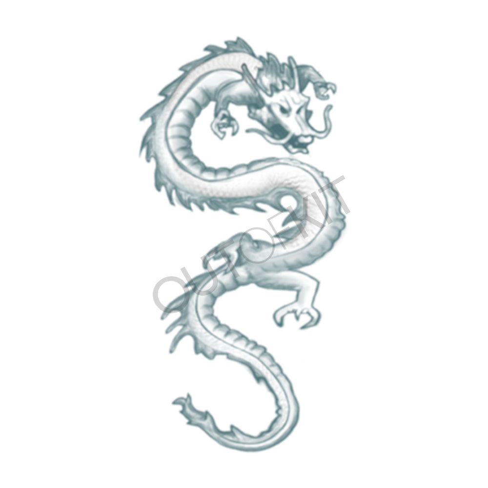 Minimalist Tiny Dragon Tattoos