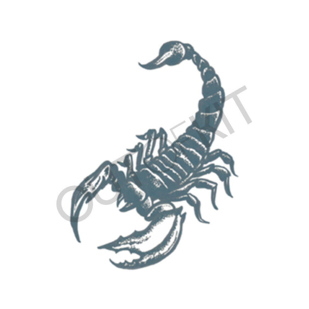 Animal Fresh Arm Scorpion Tattoo Sticker 1 Sheet Size 12-19 cm - AliExpress