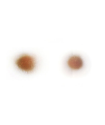 Medium Spots (set of 2)